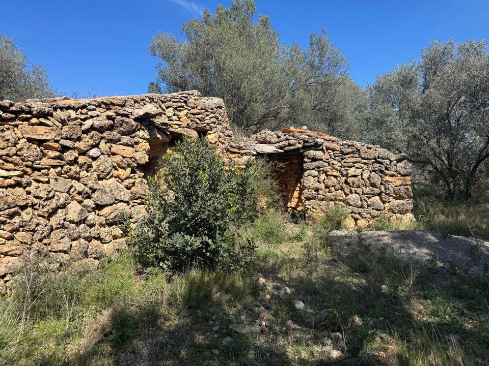 Finca en San Rafael Del Rio, Castellon - foto 4